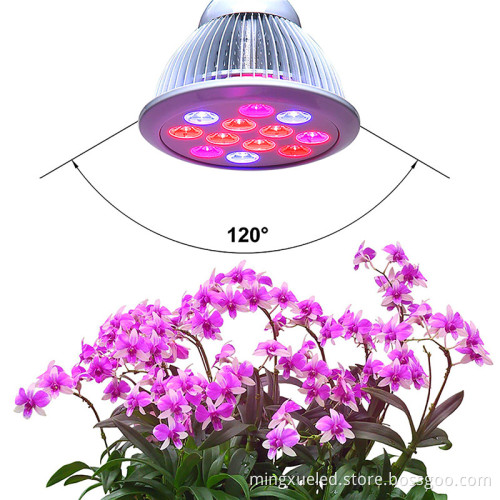 Helper Of Family Plant Light And greenhouse 12w Par LED grow light